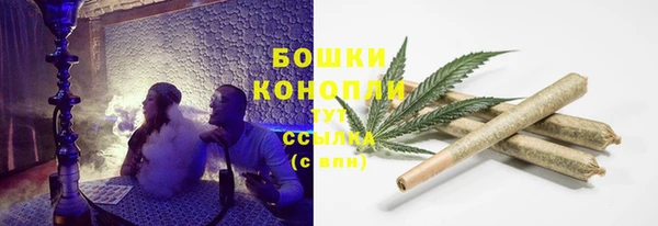 соль ск Нея