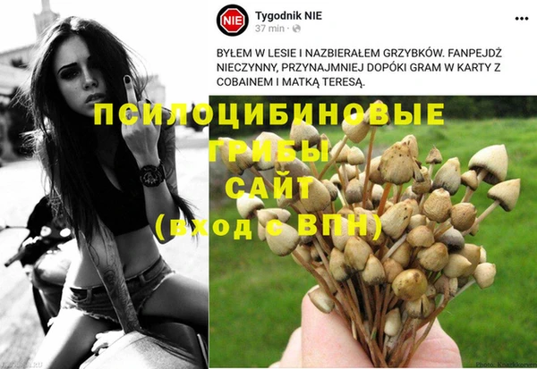 Альфа ПВП Нефтегорск