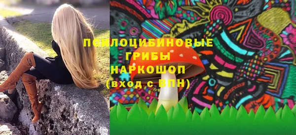 соль ск Нея