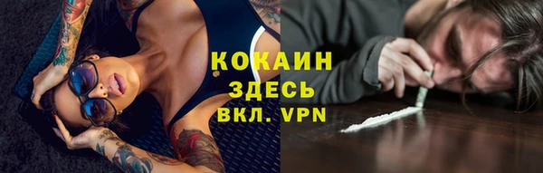 соль ск Нея