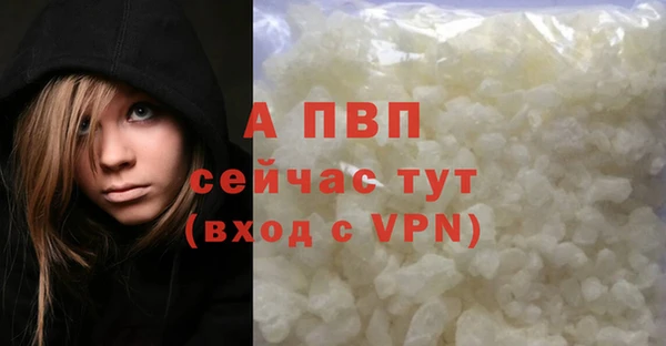 соль ск Нея