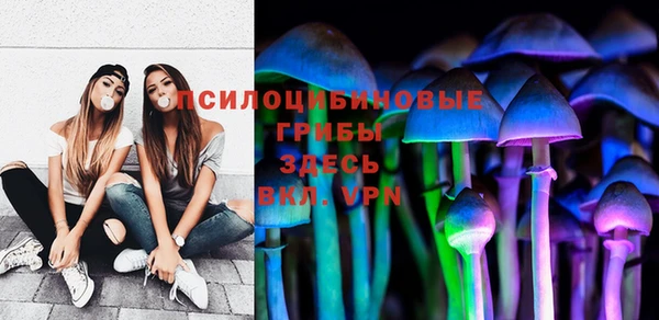 соль ск Нея