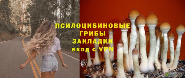 Альфа ПВП Нефтегорск