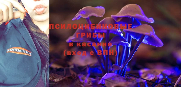 Альфа ПВП Нефтегорск